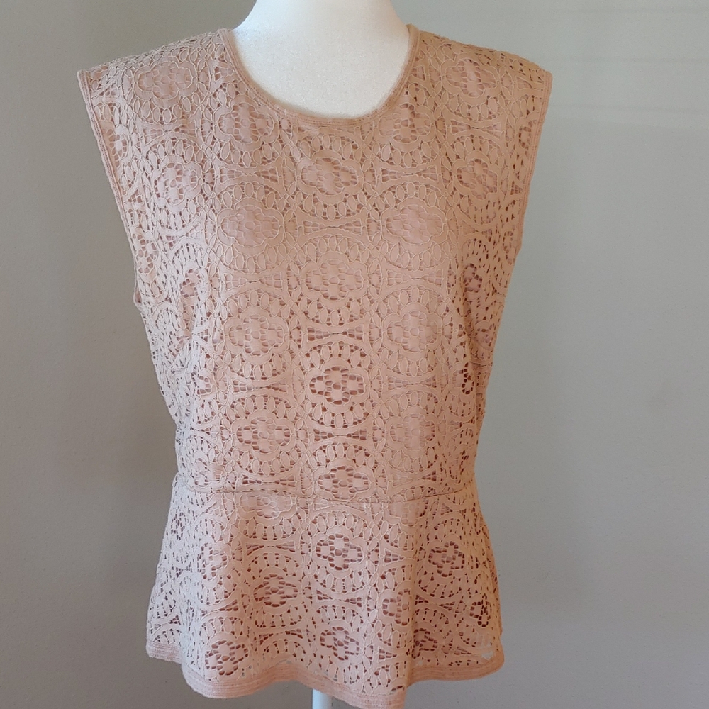 Ann Taylor Pink Lace Short Cap Sleeve Dress Top in Women's Large